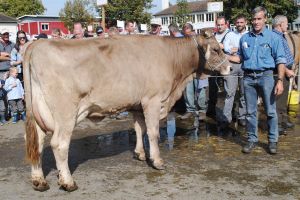 schneuter ob hercule herta arnold risi galgenen